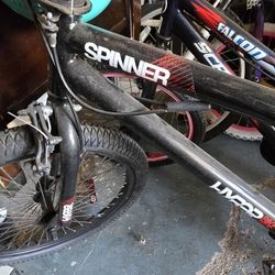 BMX SPINNER BIKE