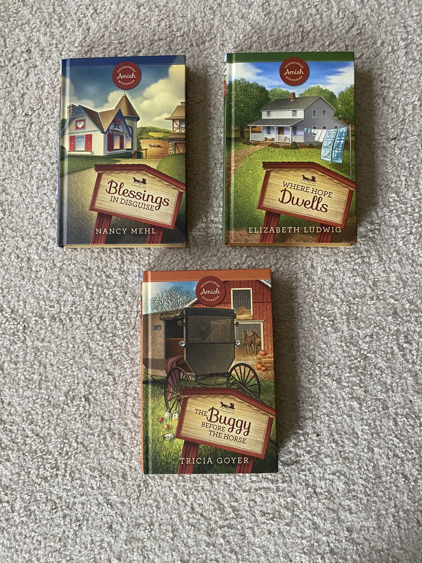 Amish mystery hard bound books