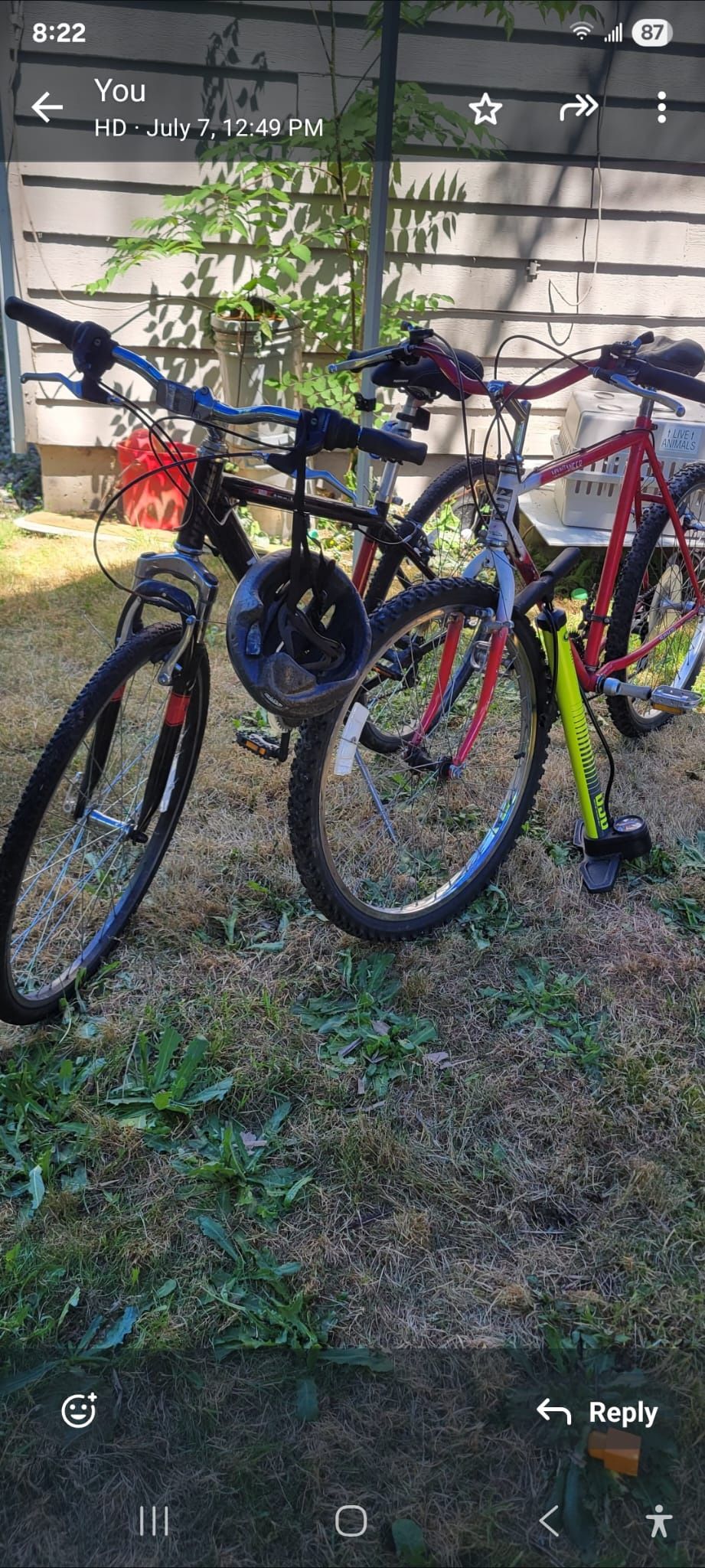 2 Bikes And And Air Pump