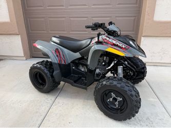 2022 Polaris Phoenix 200