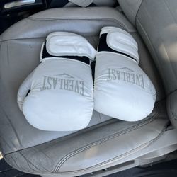 Boxing Gloves 