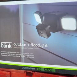 Blink Outdoor. Floodlight 