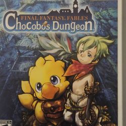 Final Fantasy Fables Chocobos Dungeon - Nintendo Wii 