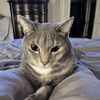 Josie