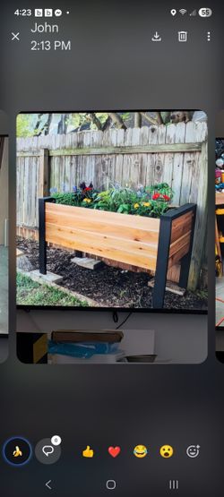 Raised Planters