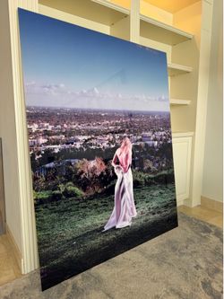 DAVID DREBIN - “THE BACHELORETTE”