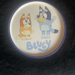 Bluey Plates For Kids.