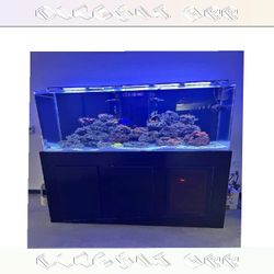 Top-Grade Aquarium Setup - Premium Quality Standard best consider