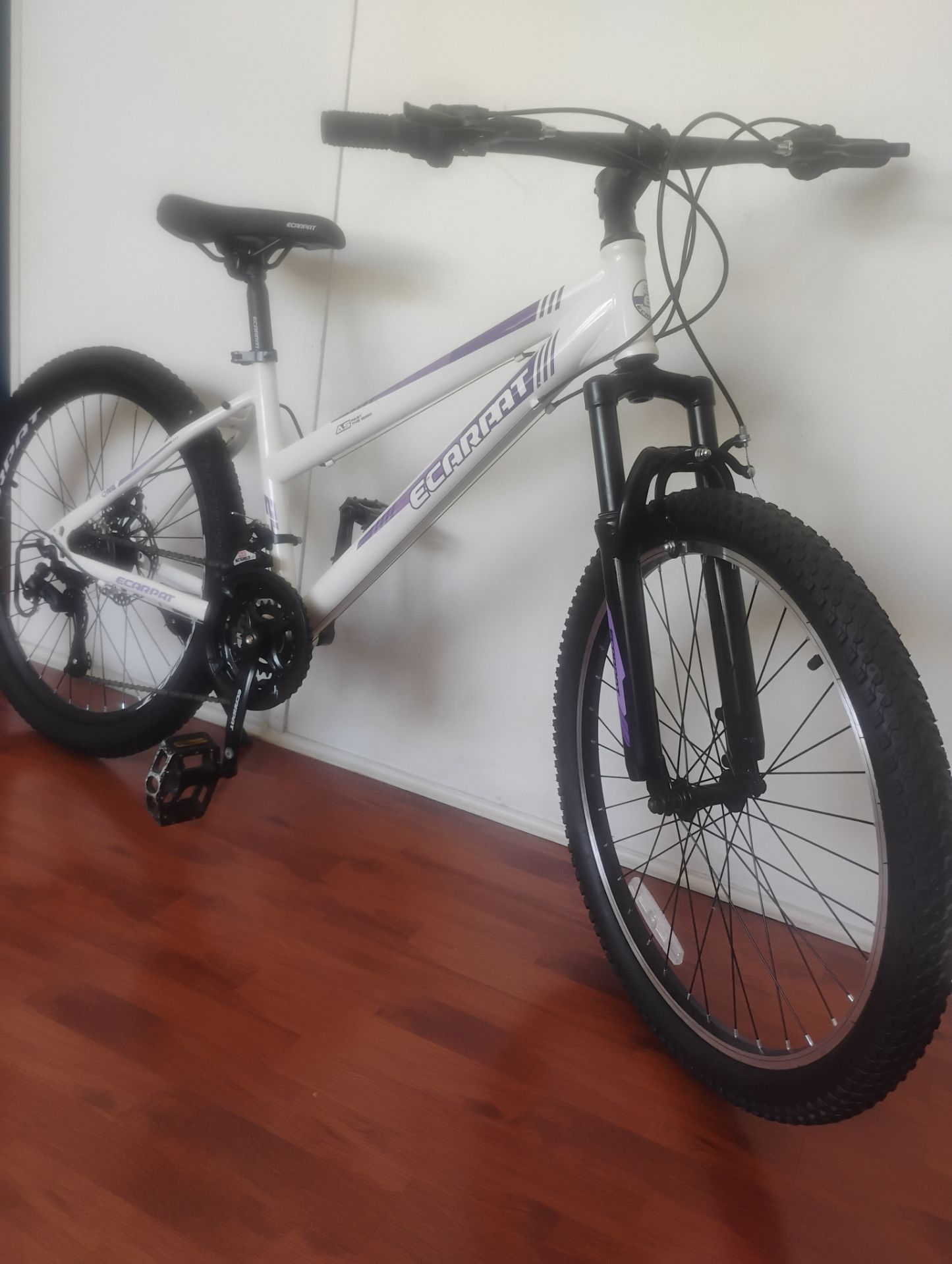 Bike new 24 in fully assembled everything adjusted to work perfectly in Montclair California