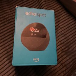Echo Spot