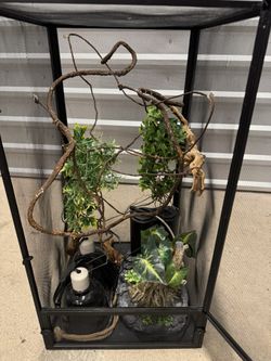 Cage For Chameleon