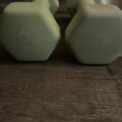 Two 6lbs Dumbbells 