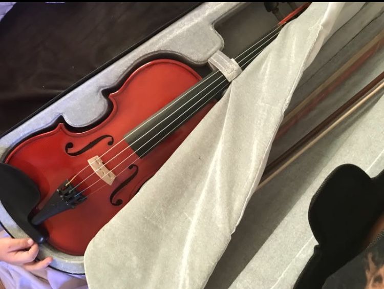 Student Violin