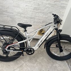 Electric Bicycle 
