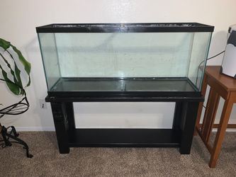 Fish tank & equipment