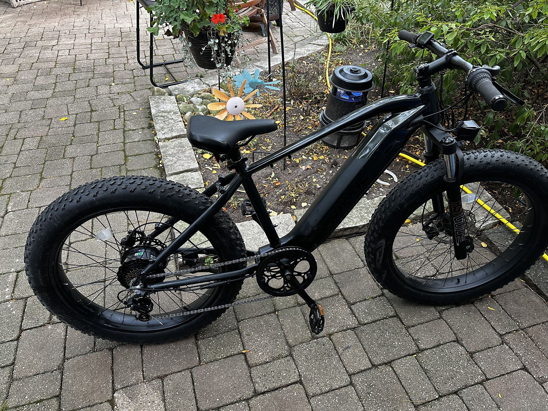 Electric Pedal Bike Fat Tire