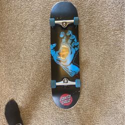 Santa Cruz Starter Skateboard 
