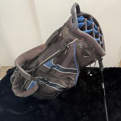 Club Champ Deluxe Stand Golf Bag – Grey & Blue 🏌️‍♂️