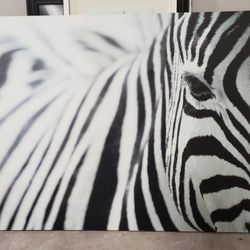 IKEA zebra photo art canvas