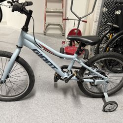 GIANT Kids Bikes Brand New  Girls And Boys