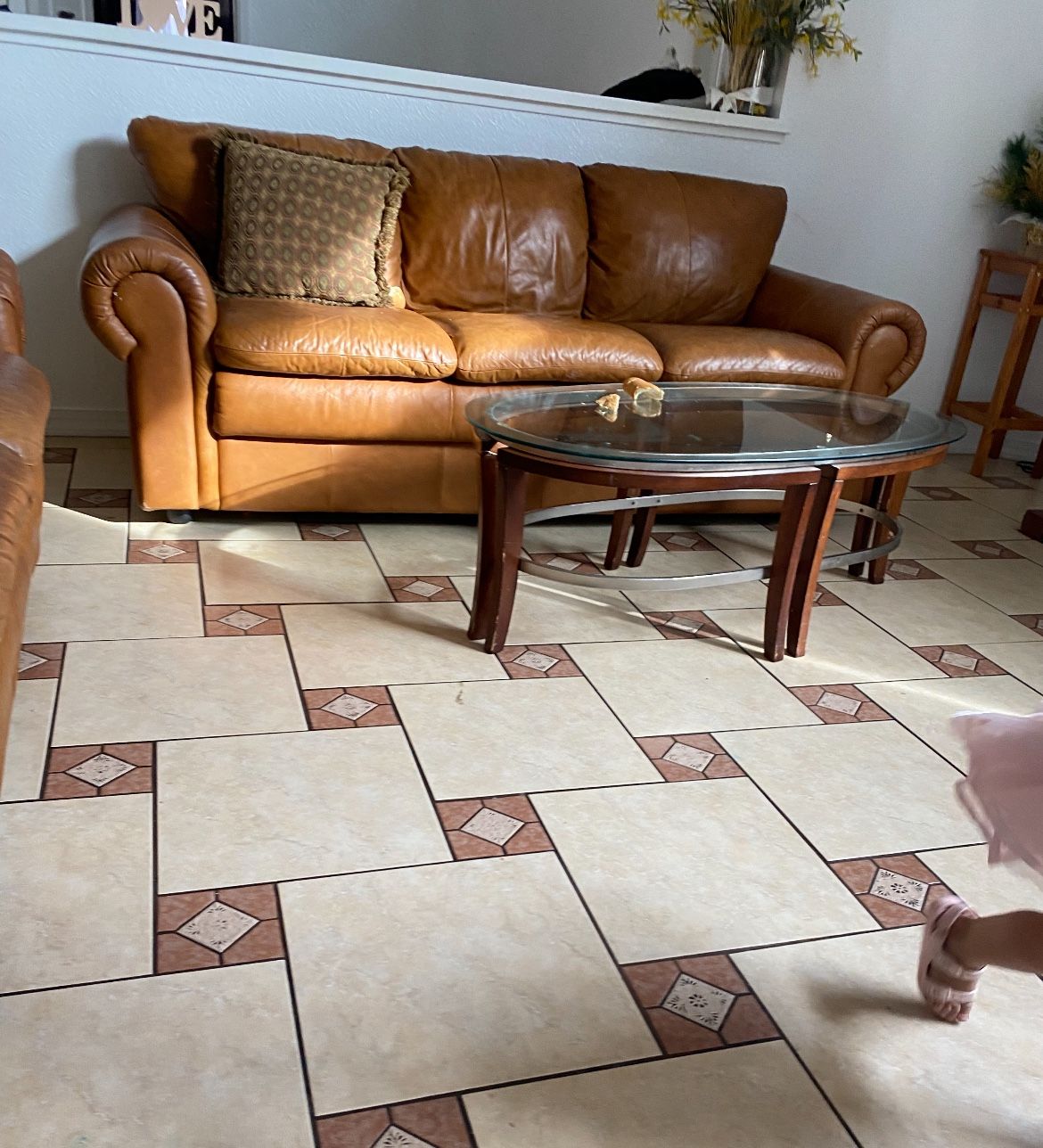 Sofás cafés/brown couches