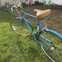 Tri Cruiser Bike