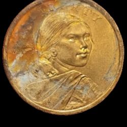 USA NATIVE AMERICAN-DOLLAR, Hiawatha Belt  ,a Great Error Coin For Your Collection!