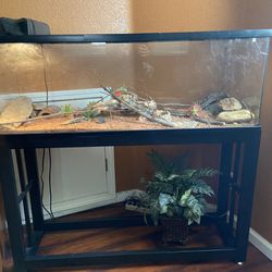 50 gallon lizard/fish tank