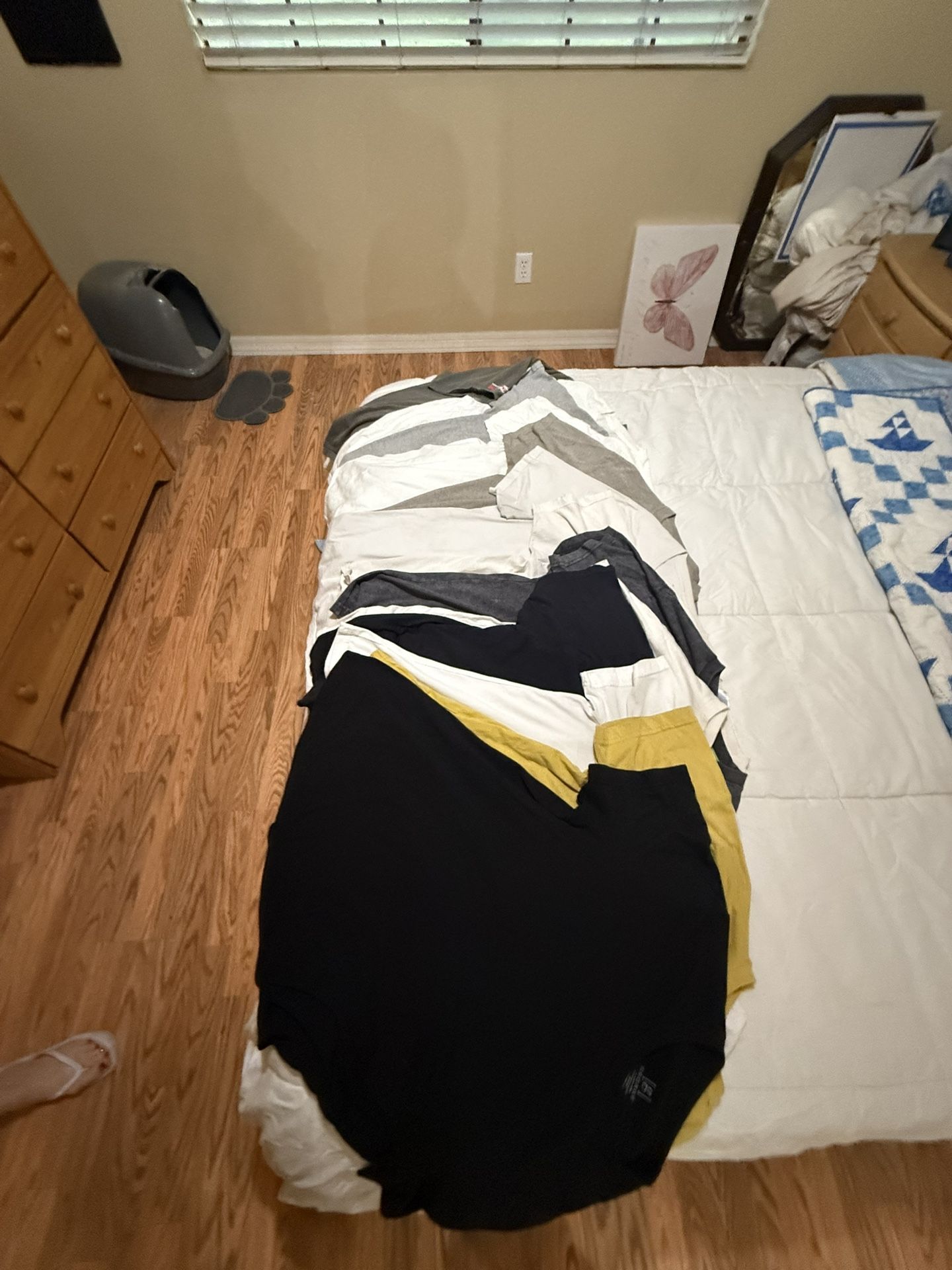 Free Men’s Tshirts