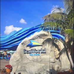 Seaworld Ticket