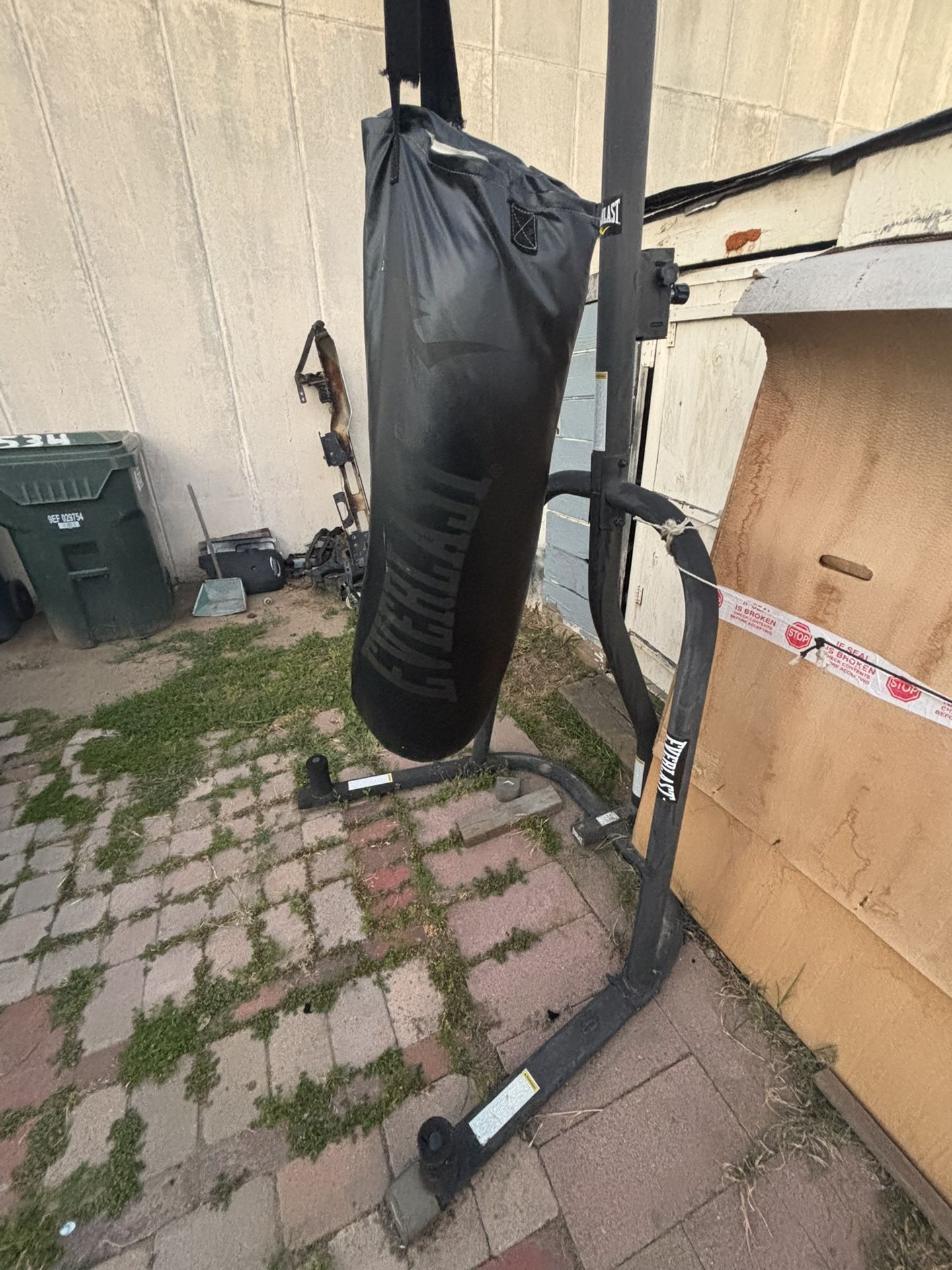 Everlast Punching Bag