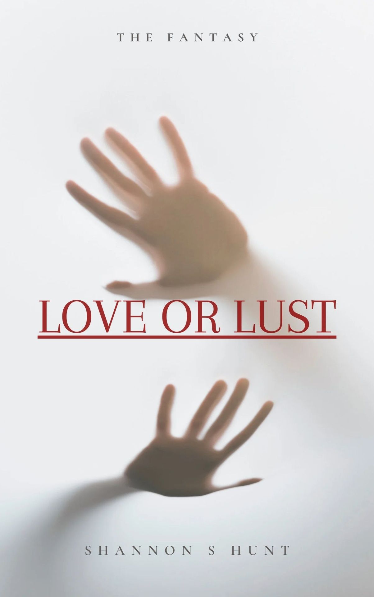 Love Or List Erotic E-Book