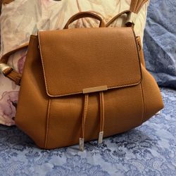 Back Pack Brown Color