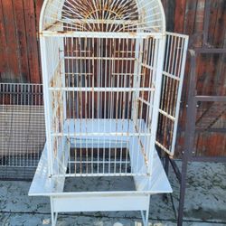 Bird Cages $10 Per Cage  
