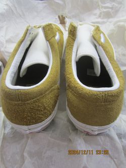 Van’s World’s #1 Skateboard Shoes