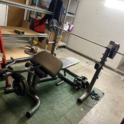 Weight bench, Bar, Free Weights 