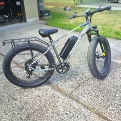 Electric Bike 
