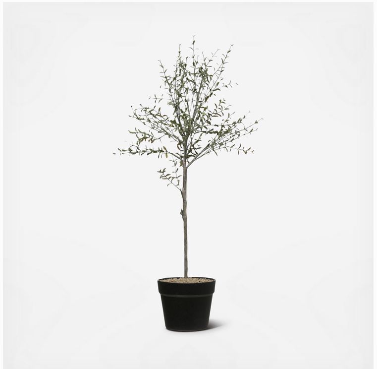 Creative Co-Op Faux Thyme Topiary In Pot