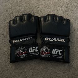 Mixed Martial Arts Gloves 