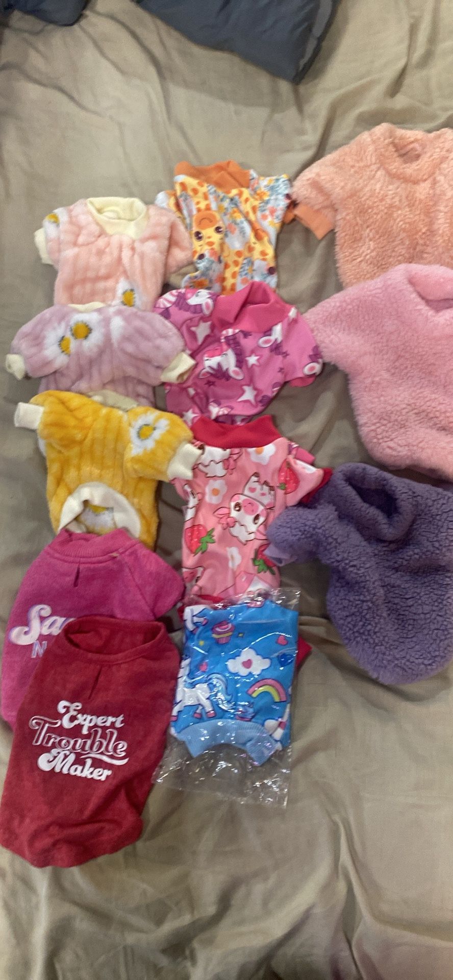 Xxs And Xs Dog Sweaters And Harness