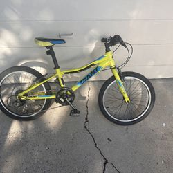 Giant 20” XTC Jr Bike 