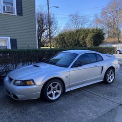 1999 Ford Mustang 5.0