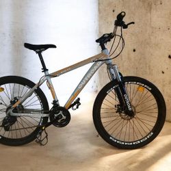 Outroad XJC-X3 Mountain Bike 
