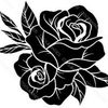 Rose Love