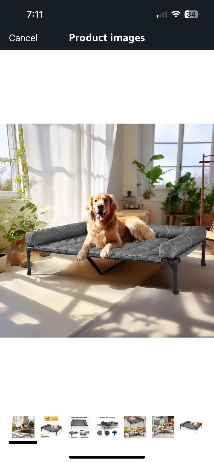 Elevated Dog Bed