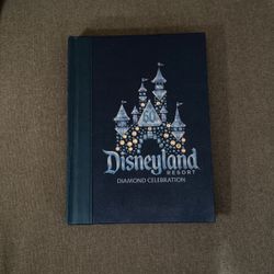 Disney journal