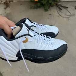 Jordan 12 