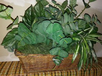 Beautiful silk plants in basket