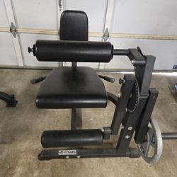 Titan Fitness Leg Extension Plate Loaded Machine