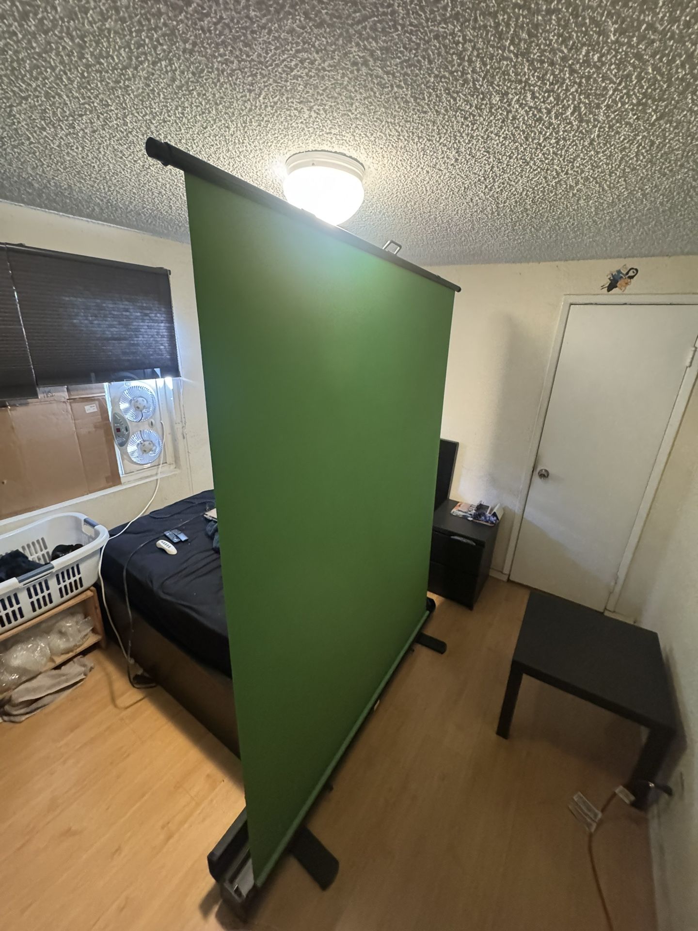 El Gato Green Screen